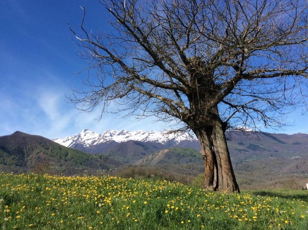 Hostellerie De La Poste Oust Εξωτερικό φωτογραφία